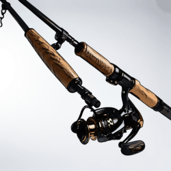 CannetélescopiqueTâcheMe