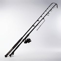 CannelightweightRoseSuivreExécuter