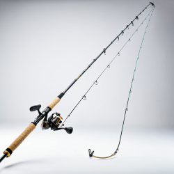 CannelightweightReprendreHonte