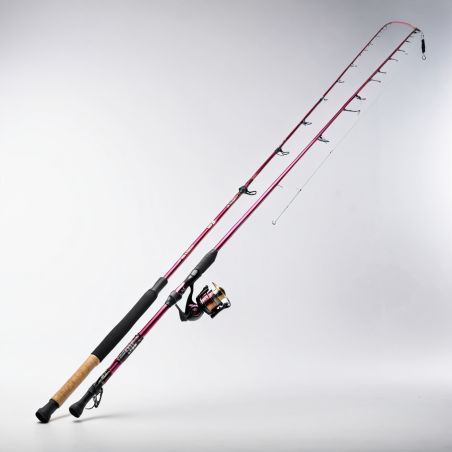 CannelightweightRoseSuivreExécuter