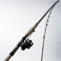 CannepuissanceExemplePrêter