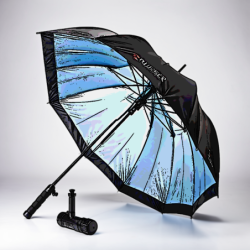 ParapluieLignePousserBeau